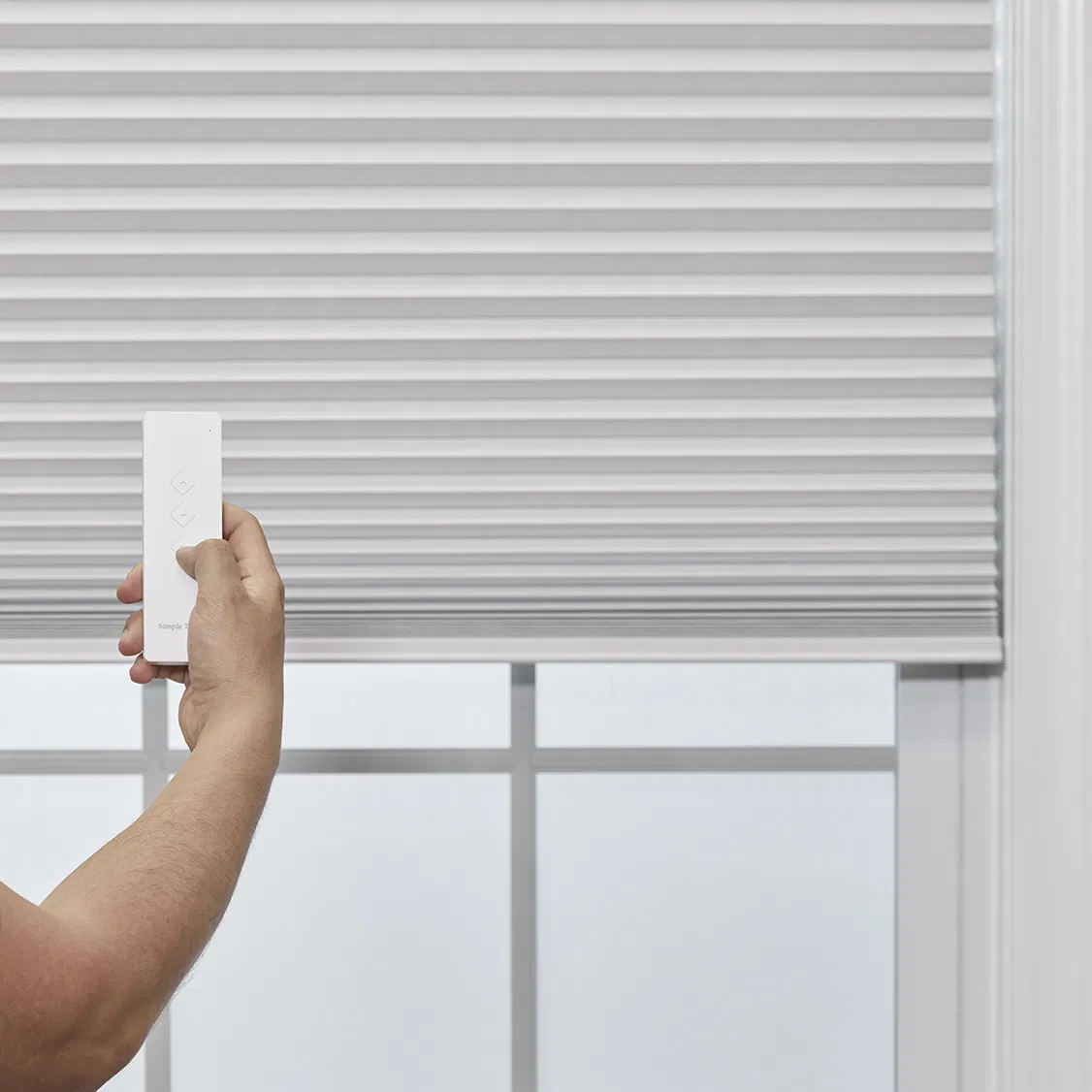 Motorized Blinds